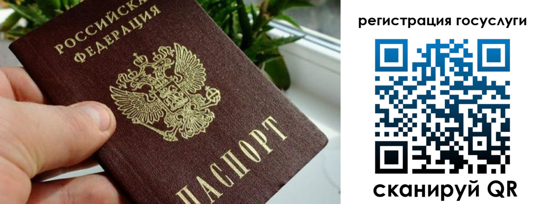 прописка для кредита в Мирном